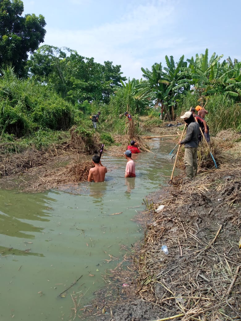 NORMALISASI DRAINASE DAN PEMBABATAN RUMPUT